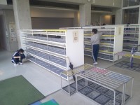 玄関もきれいになりました