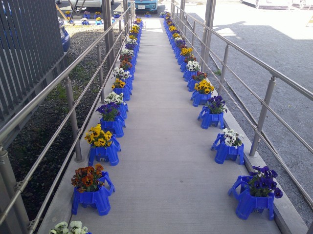 体育館までの通路に花