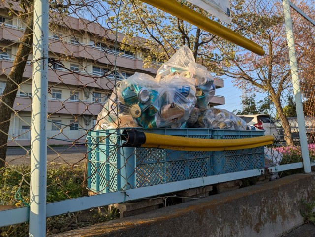 今日もこんなに沢山。本当に感謝です。